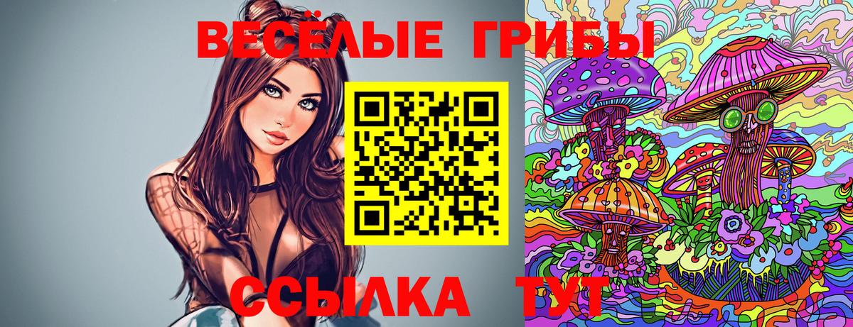 Галлюциногенные грибы мицелий  Вход с VPN  Псилоцибиновые грибы Magic Shrooms  Энгельс 
